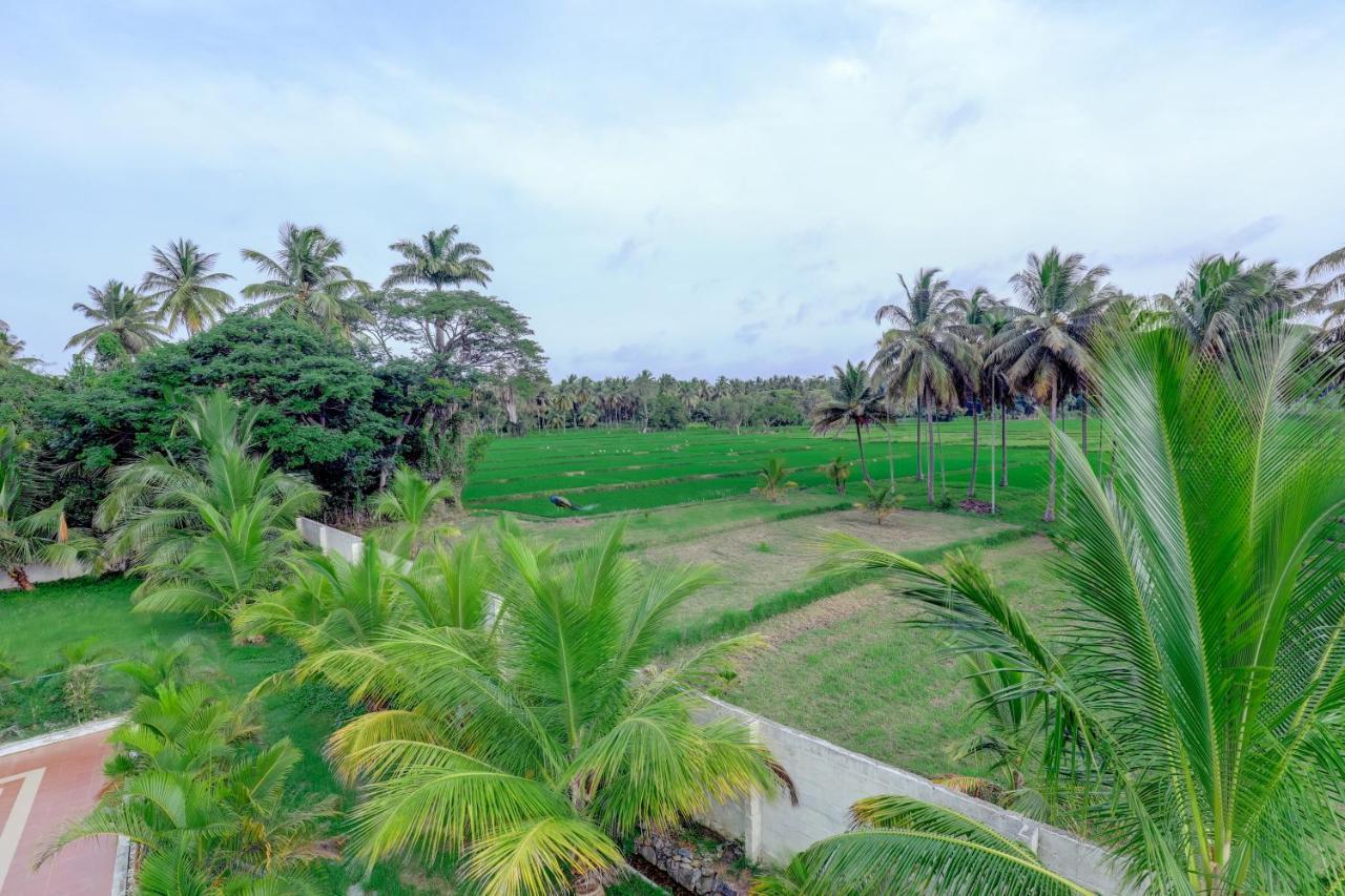 Brindavan Garden Resort & Spa Krishnarajasagara Bagian luar foto
