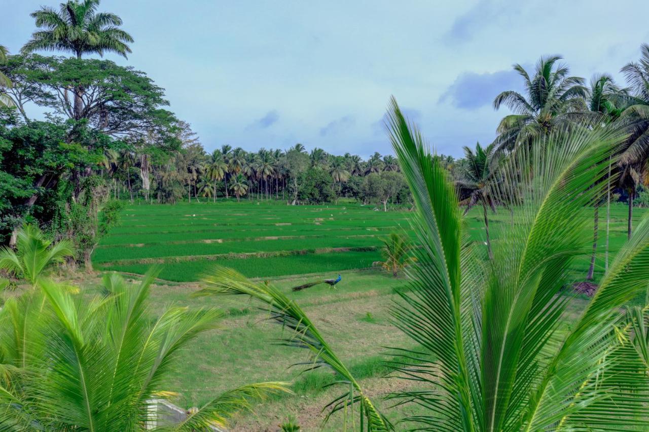 Brindavan Garden Resort & Spa Krishnarajasagara Bagian luar foto